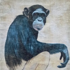 SINGE - PAN TROGLODYTES (150x200cm) SINGE - PAN TROGLODYTES (150x200cm)